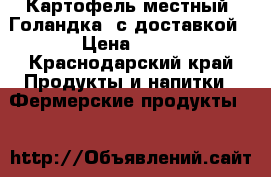 Картофель местный “Голандка“ с доставкой › Цена ­ 25 - Краснодарский край Продукты и напитки » Фермерские продукты   